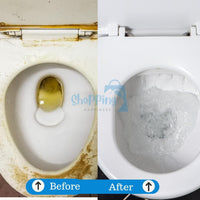 Toilet Cleaning Agent 100 gm (Pack of 2)